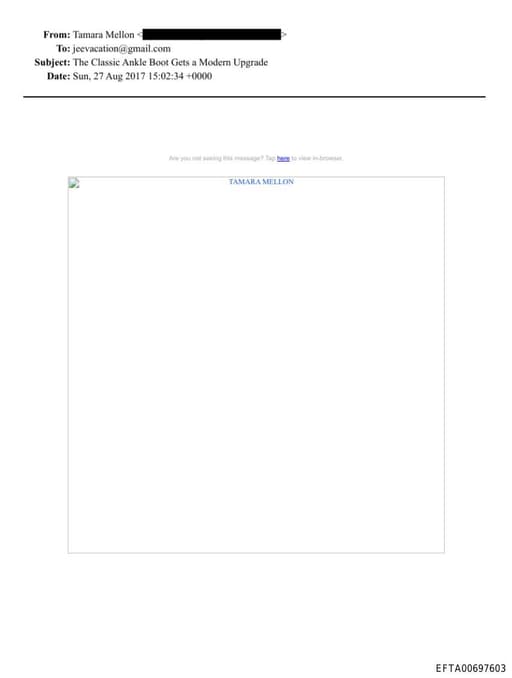 Preview of EFTA00697603