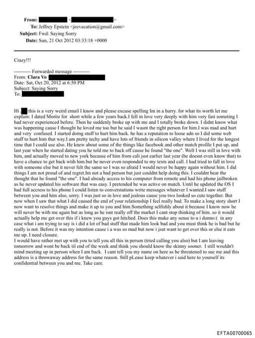 Preview of EFTA00700065