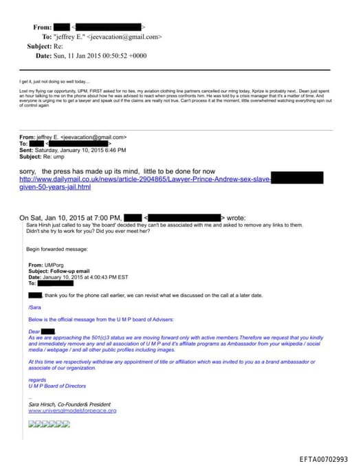 Preview of EFTA00702993