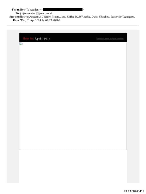 Preview of EFTA00703419