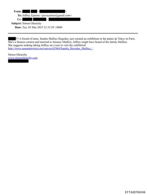 Preview of EFTA00704246