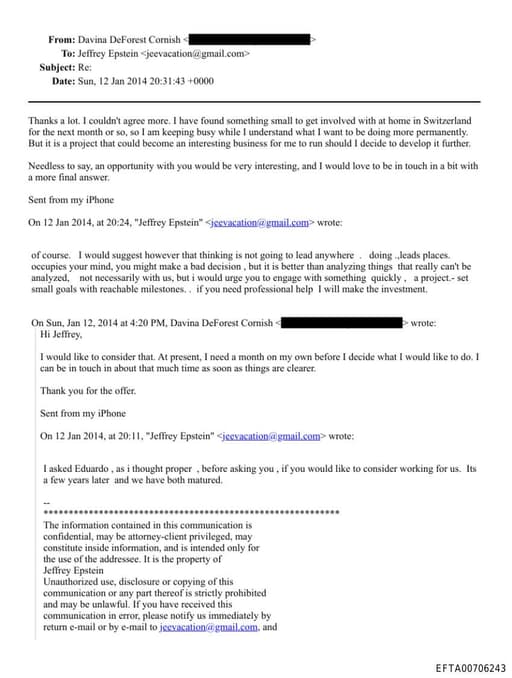 Preview of EFTA00706243