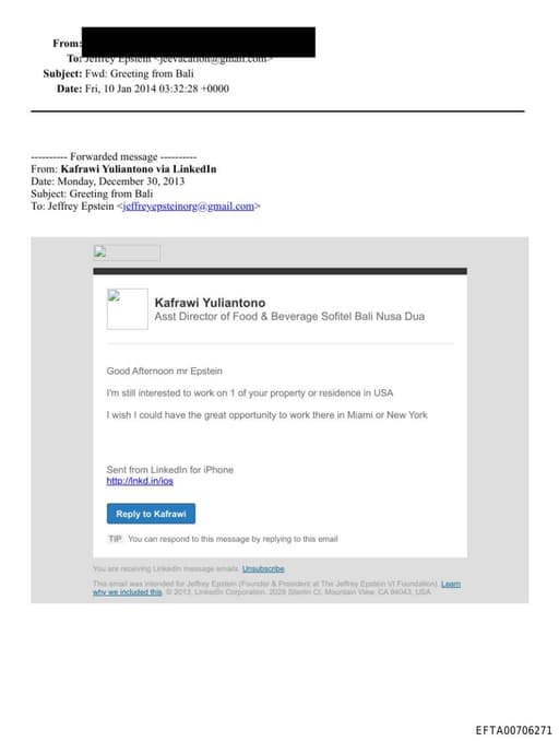 Preview of EFTA00706271