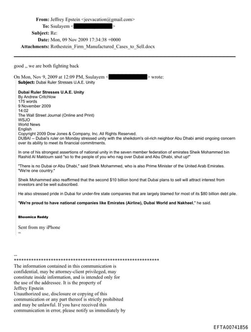 Preview of EFTA00741856