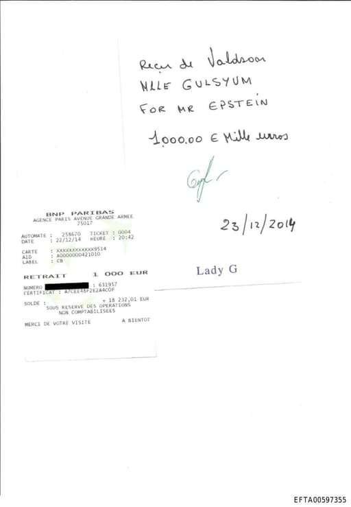 Preview of EFTA00597355