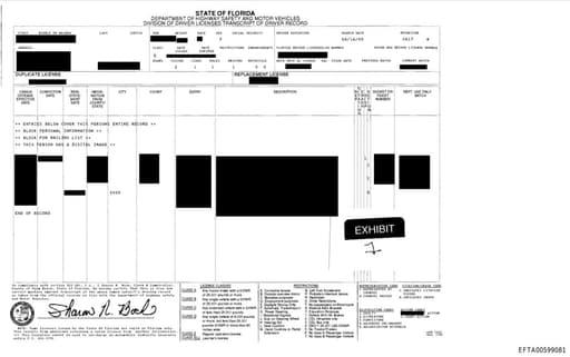 Preview of EFTA00599081