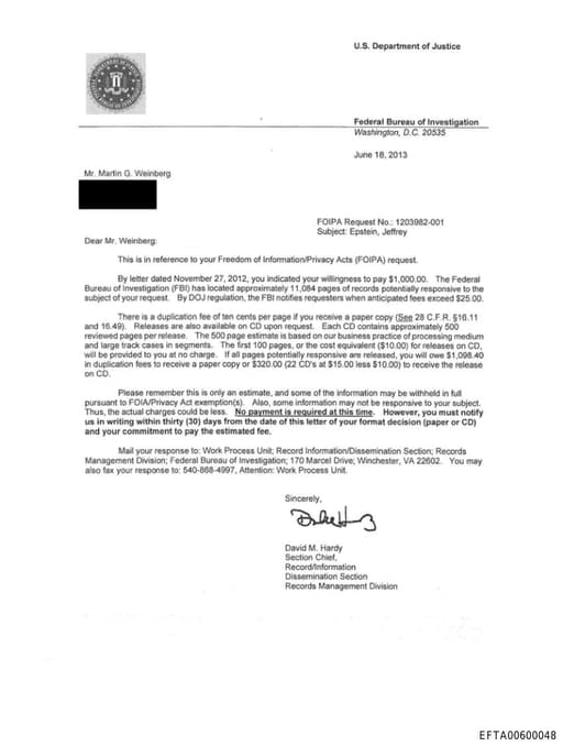 Preview of EFTA00600048