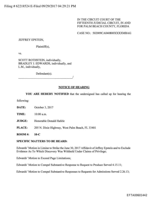 Preview of EFTA00601442