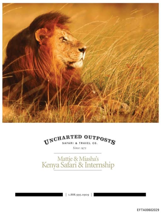 Preview of EFTA00602029