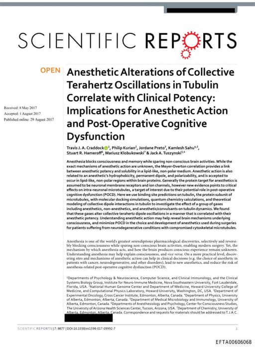 Preview of EFTA00606068