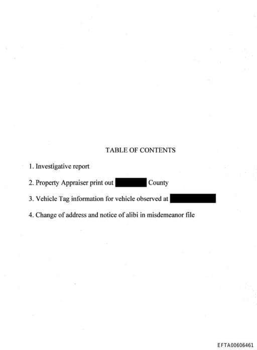 Preview of EFTA00606461