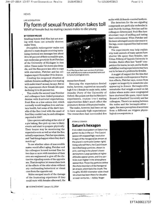 Preview of EFTA00611737