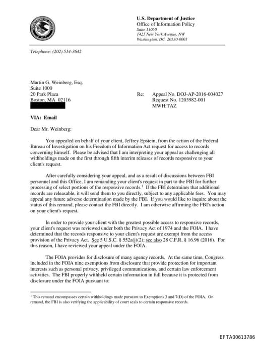 Preview of EFTA00613786