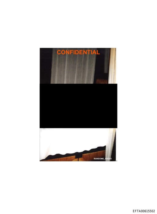 Preview of EFTA00615502