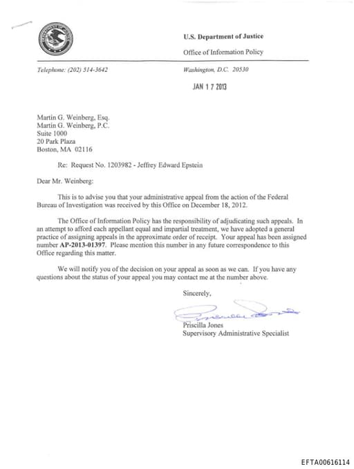 Preview of EFTA00616114