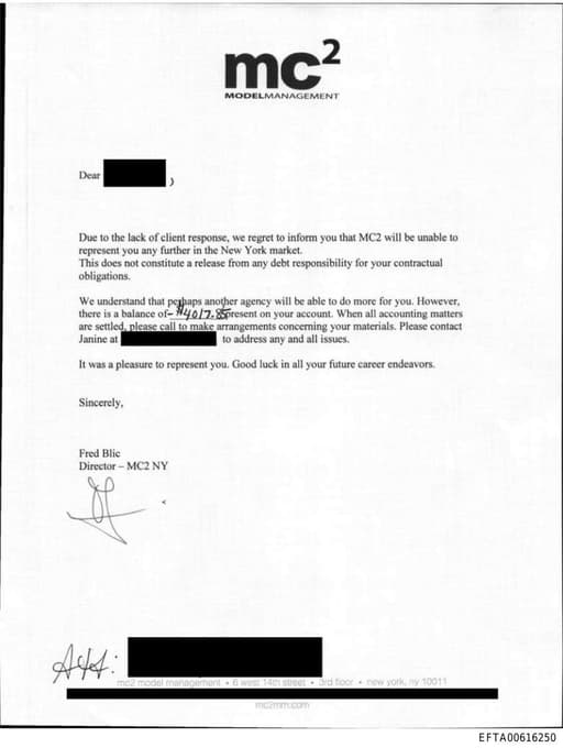 Preview of EFTA00616250