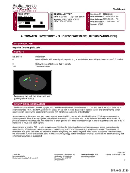 Preview of EFTA00618180