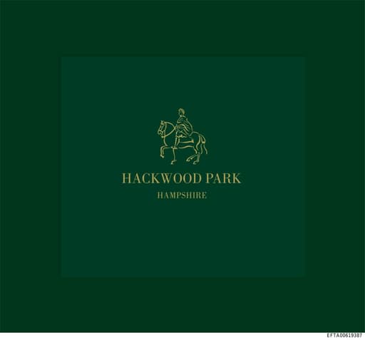 Preview of EFTA00619387