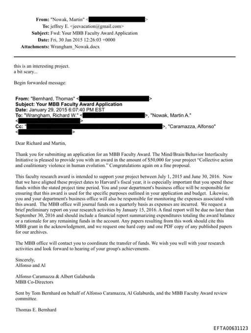 Preview of EFTA00631123