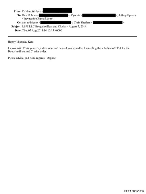 Preview of EFTA00665337