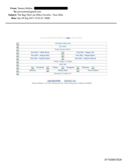 Preview of EFTA00673528