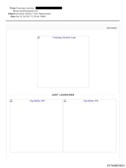 Preview of EFTA00673613