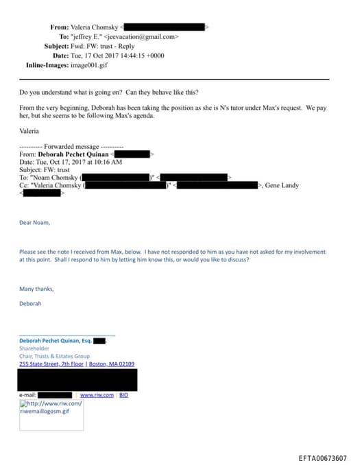 Preview of EFTA00673607