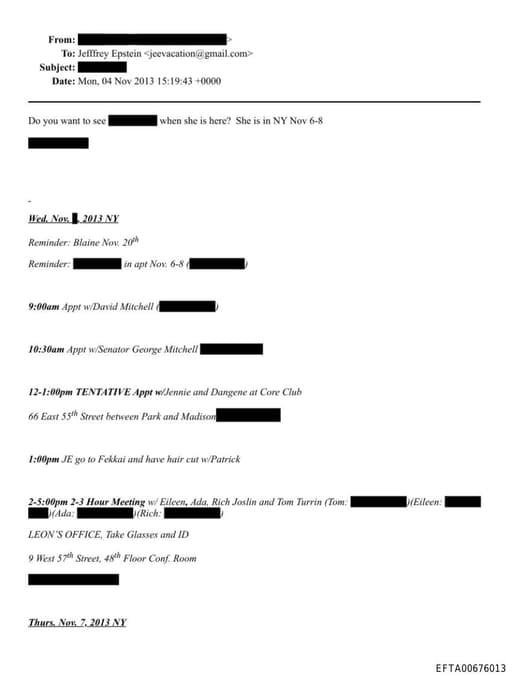 Preview of EFTA00676013