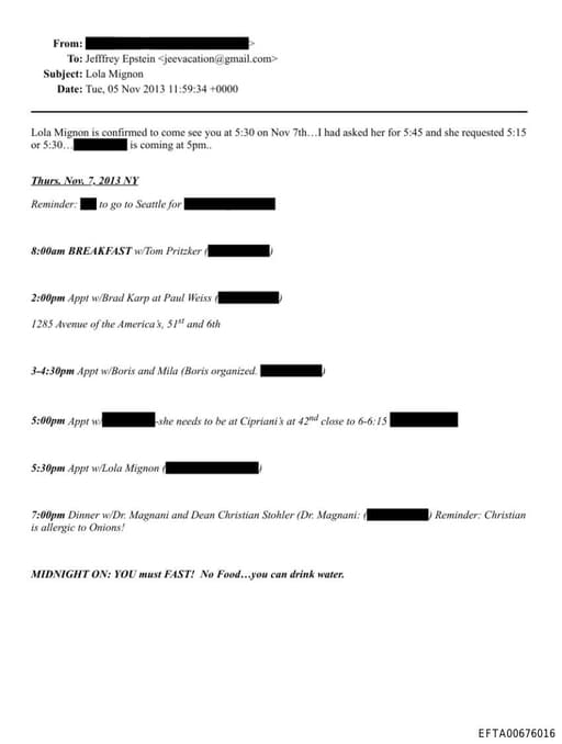 Preview of EFTA00676016