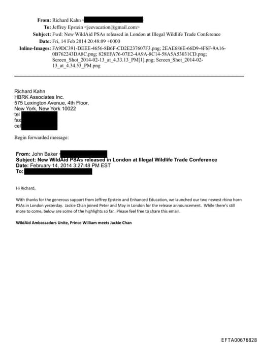 Preview of EFTA00676828