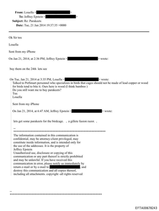 Preview of EFTA00678243