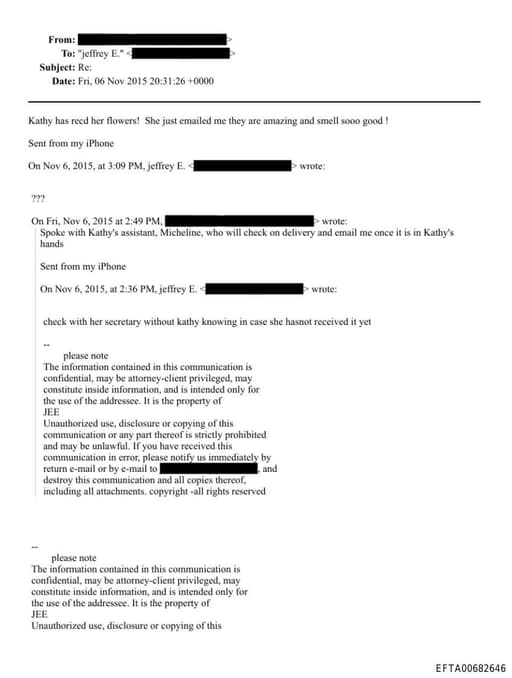 Preview of EFTA00682646