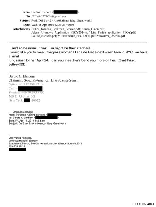 Preview of EFTA00684041