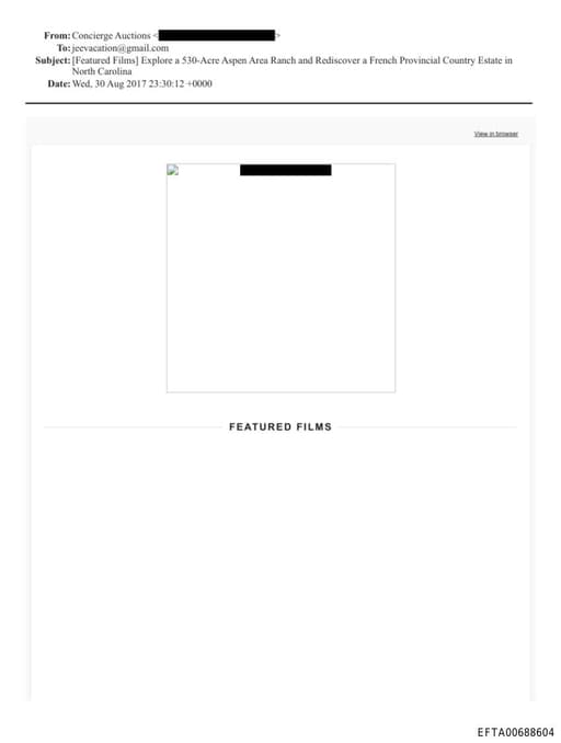 Preview of EFTA00688604