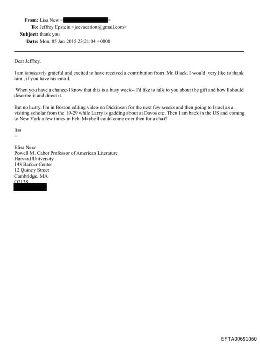 Preview of EFTA00691060