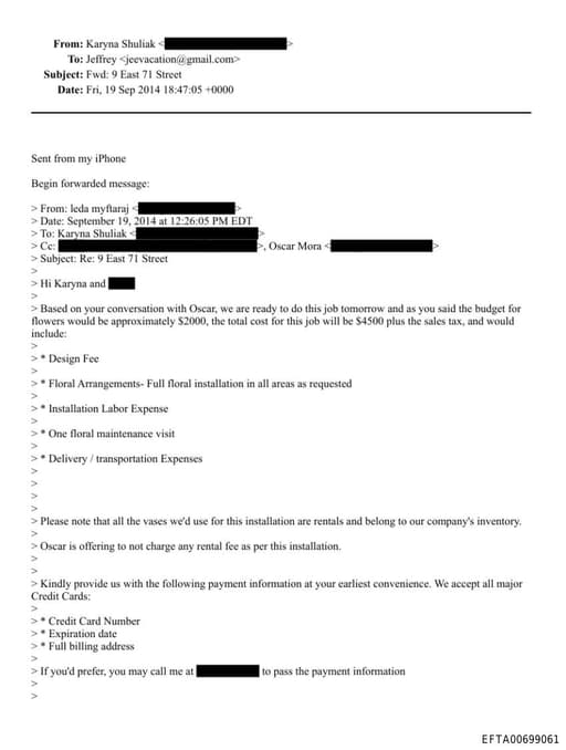 Preview of EFTA00699061