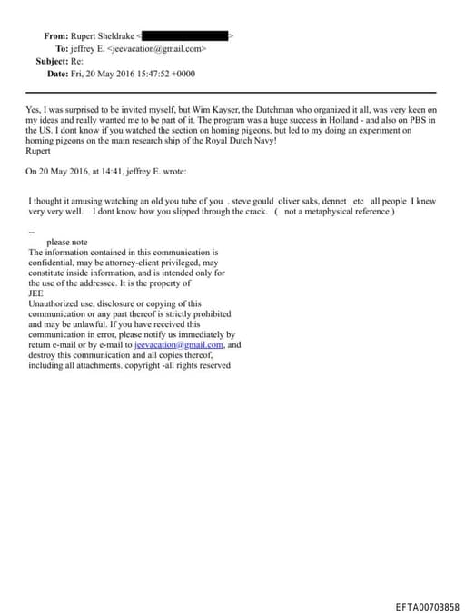 Preview of EFTA00703858