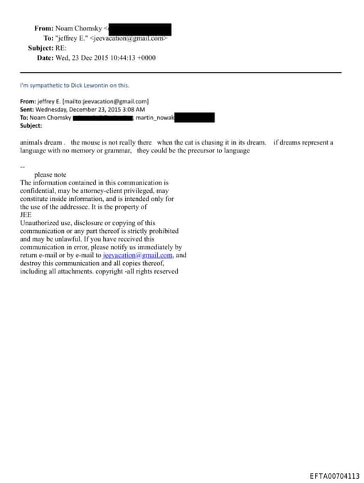 Preview of EFTA00704113