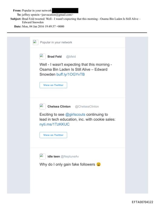 Preview of EFTA00704122