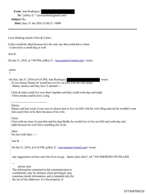 Preview of EFTA00704110