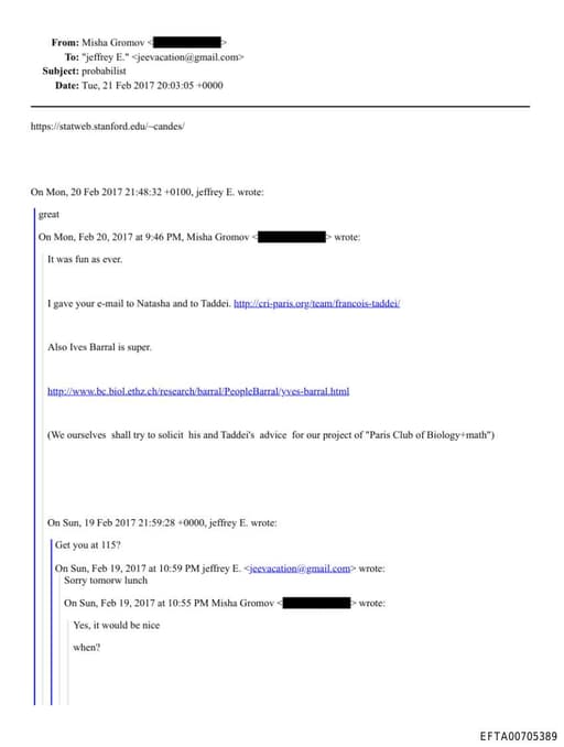 Preview of EFTA00705389