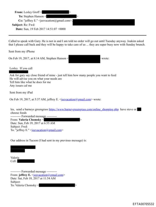 Preview of EFTA00705532