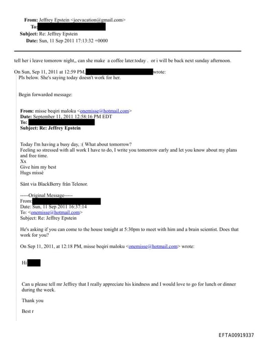 Preview of EFTA00919337