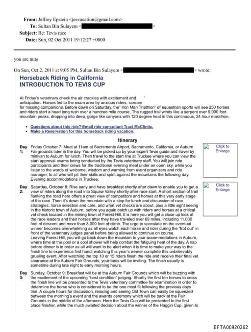 Preview of EFTA00920262