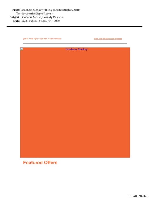 Preview of EFTA00709028