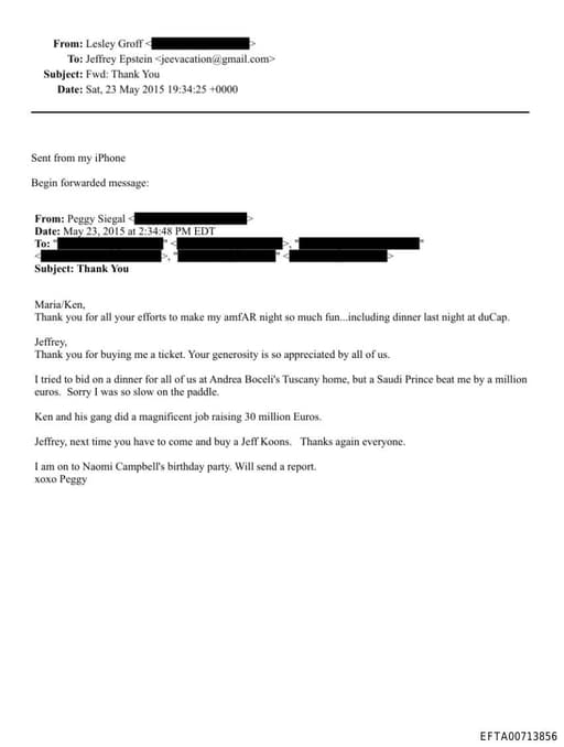 Preview of EFTA00713856