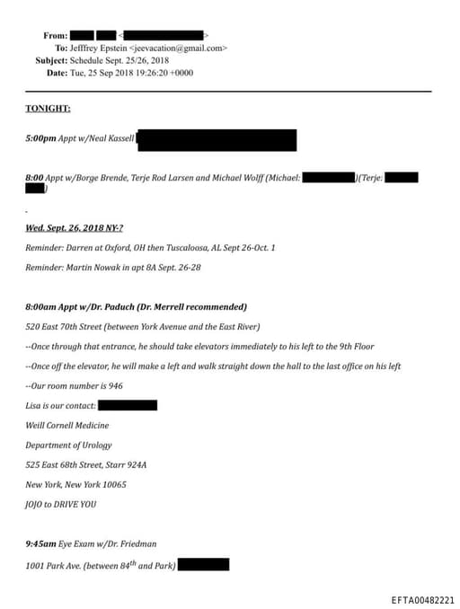 Preview of EFTA00482221