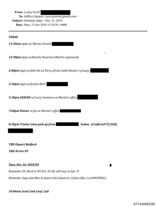 Preview of EFTA00483265