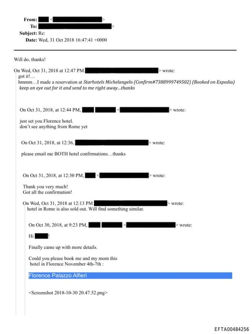 Preview of EFTA00484256