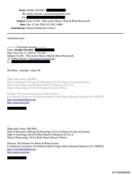 Preview of EFTA00484391